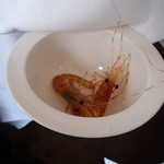 レストラン・モリエール - 活ボタンエビ