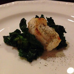 f - アカメフグ！凄い弾力！