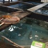 天然海水いけす海陽亭