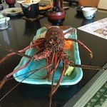 日吉苑　食事処魚半 - 伊勢海老活き造り