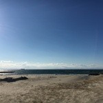 日吉苑　食事処魚半 - 