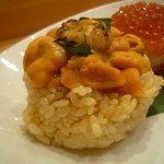 おしどり - MUTEKI Mini