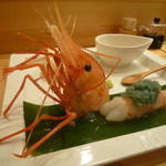 おしどり - 頭を上げい、って感じ