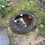 玄 - 2016年2月　今回も、椿が浮かんでいました！