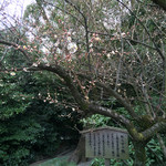 手打ちそば天ぷら 那央人 - ならずの梅