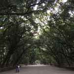 手打ちそば天ぷら 那央人 - 熱田の杜
      ２０１６年４月１６日