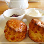 紅茶専門店 Ｔｅａ Ｈｏｌｉｃ - 