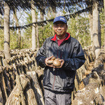 Dhisu Izu Shiitake Baga Kicchin - 