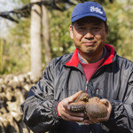 Dhisu Izu Shiitake Baga Kicchin - 