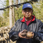 Dhisu Izu Shiitake Baga Kicchin - 