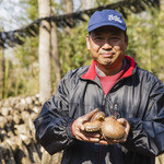 Dhisu Izu Shiitake Baga Kicchin - 