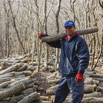 Dhisu Izu Shiitake Baga Kicchin - 