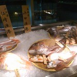 Yakichi - 店の入り口に並ぶ鮮魚