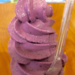 果琳 - ブルーベリーのヨーグルトアイス