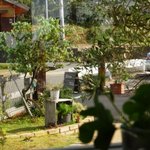 DAIDOKORO　CAFE　MOKU - 