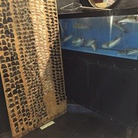 カニとフグの専門店 福島かにふぐ家 - 
