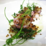 クイントカント - 