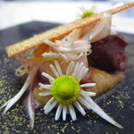 クイントカント - 