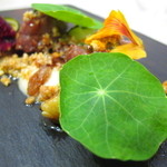 クイントカント - 