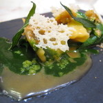 クイントカント - 