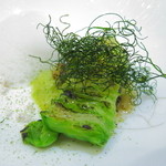 クイントカント - 