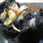 クイントカント - 