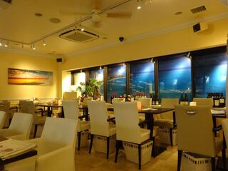 原宿でディナーを食べるなら イタリアンなど人気店15選 食べログまとめ 原宿でディナーを食べるなら イタリアンなど人気店15選 食べログまとめ