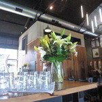 Woolshed Pub - 店内もいい雰囲気ですよ（＾＾