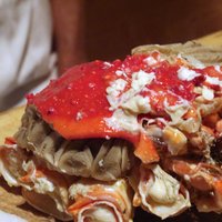 銀座 きた福 - 甲羅を外すと脱皮前の甲羅が覆う