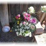 もんど - 年末の店頭　2015.12