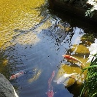 葉山 日影茶屋 - 