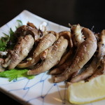 濱丑川魚店 - おかわり（笑）