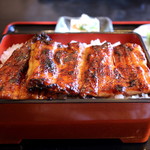 濱丑川魚店 - うな重（特特重）