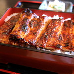 濱丑川魚店 - うな重（特特重）