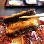 濱丑川魚店 - うな重（特特重）