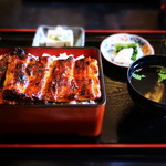 濱丑川魚店 - うな重（特特重）