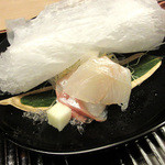 緒方 - 2016.2【3】ひらめ