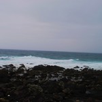 うまめの木 - 国道を挟んで目の前は太平洋！！冬の天気が良い日には”だるま夕日”が見れるそうです(*´∀｀*)