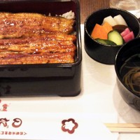 入谷鬼子母神門前のだや - きょうすいうな重（中）