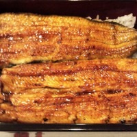 入谷鬼子母神門前のだや - きょうすいうな重（中）のアップ！