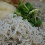 フワッフワのちりめんです(*´∀｀*)