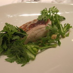 レストラン ラッセ - 28年2月　鰆のレアソテー　さっと炒めた春菊　温かいバーニャカウダのソース