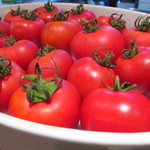 トラットリア パッパ - 