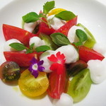 トラットリア パッパ - 