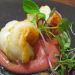 トラットリア パッパ - 