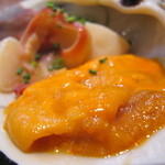 トラットリア パッパ - 