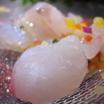 トラットリア パッパ - 