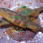 トラットリア パッパ - 