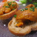 トラットリア パッパ - 