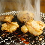 炭火焼肉ぶりっじ - 牛ホルモンも最高！！